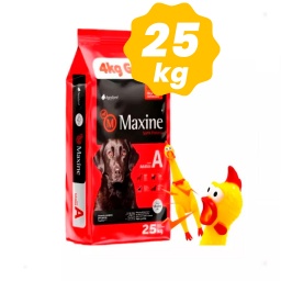 Alimento Maxine Perros Adultos En Bolsa De 21+4 Kg + Regalo 1