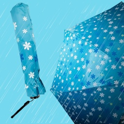 Paraguas Estampado Varios Diseños