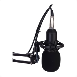 Micrófono Con Brazo Estudio Condensador Podcast Bm-800